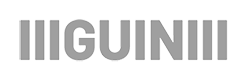 Logo with stylized text 'GUIN' surrounded by vertical gray bars, representing a modern brand identity.
